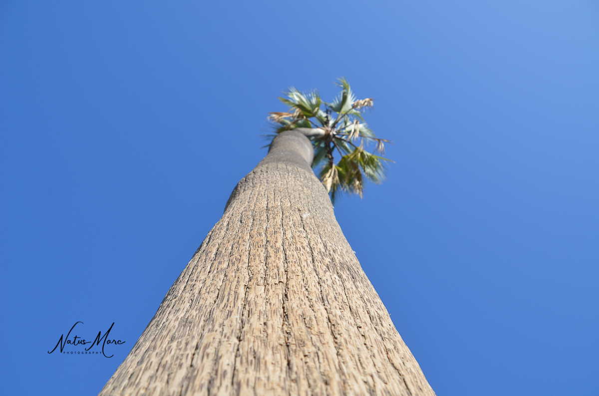 NAT_1400_web