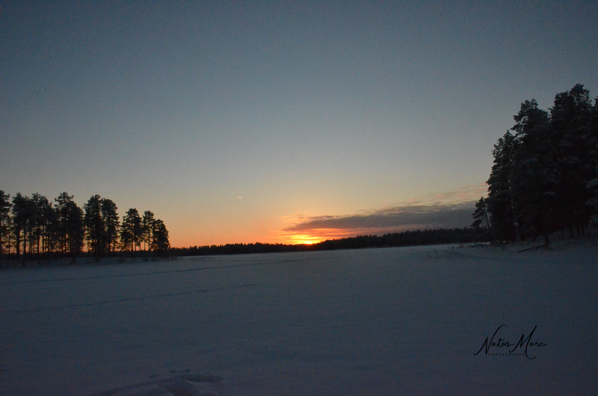 NAT_1666_web