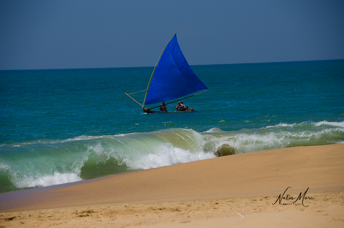 NAT_2554_web