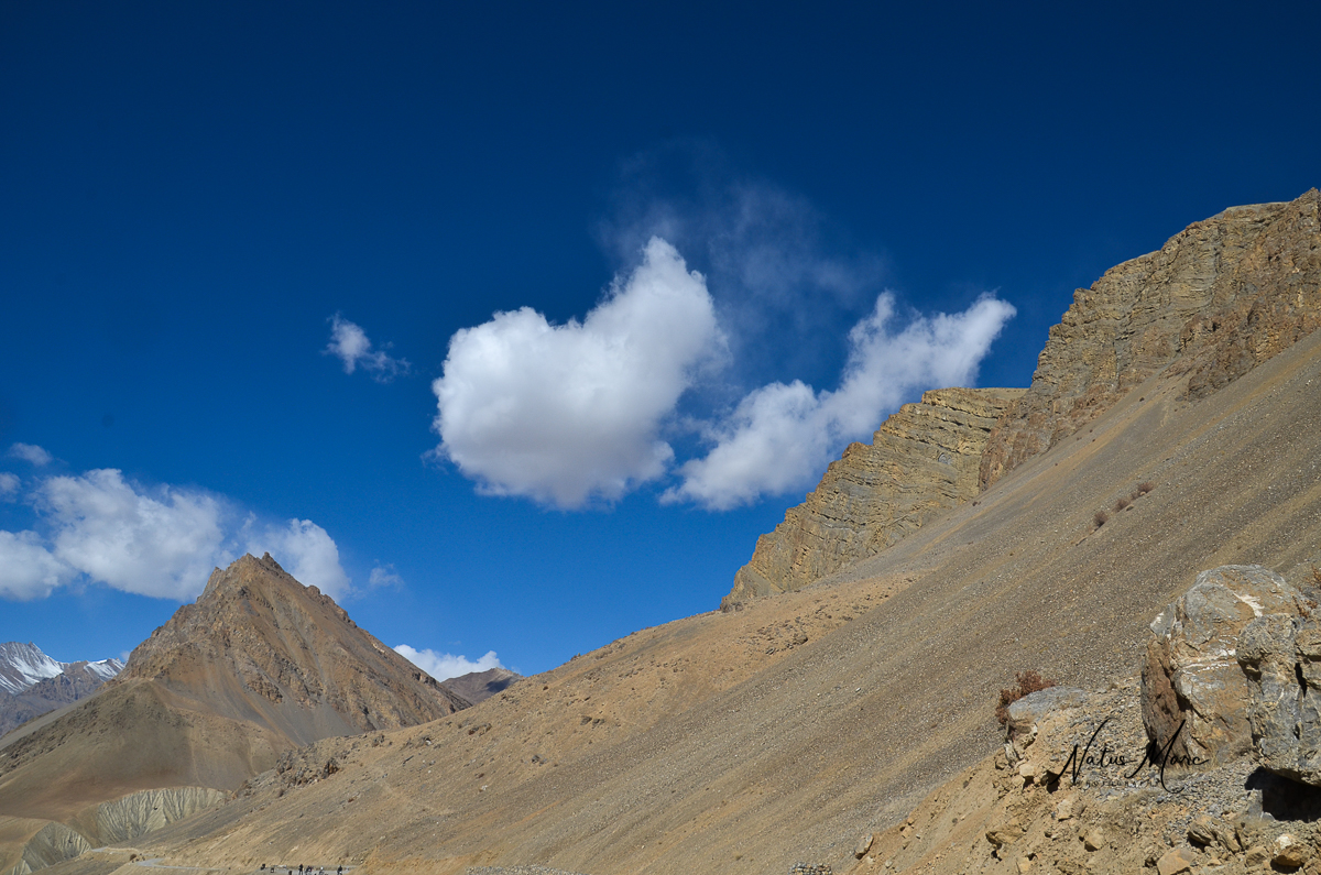 NAT_4870_web