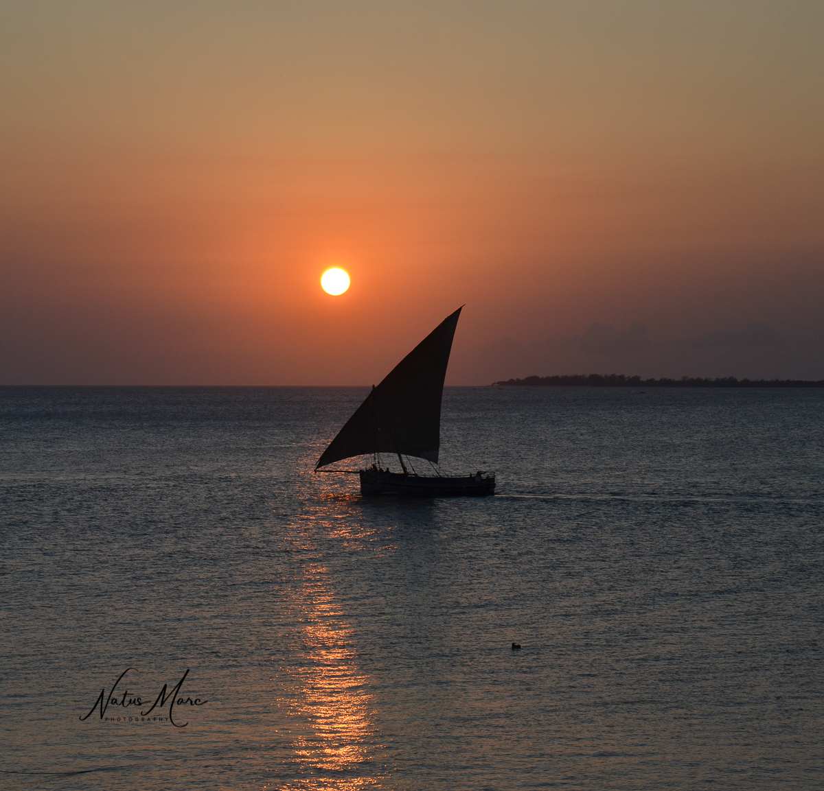 NAT_7269_web