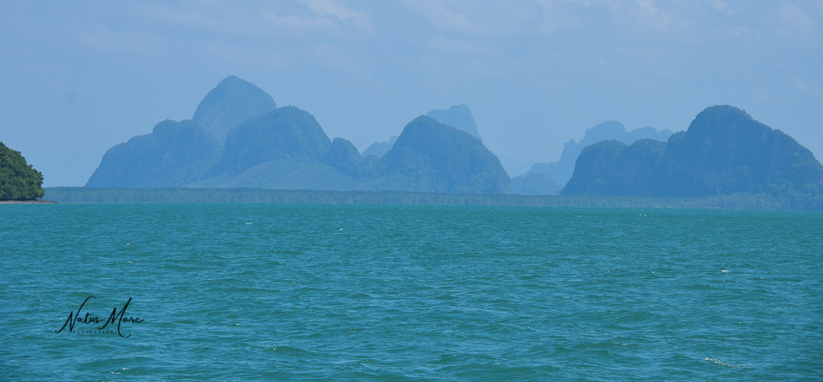 NAT_7314_web