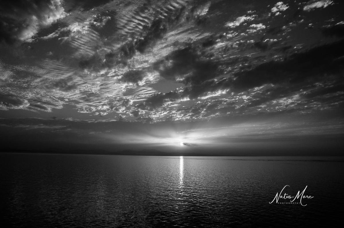 NAT_8232_web