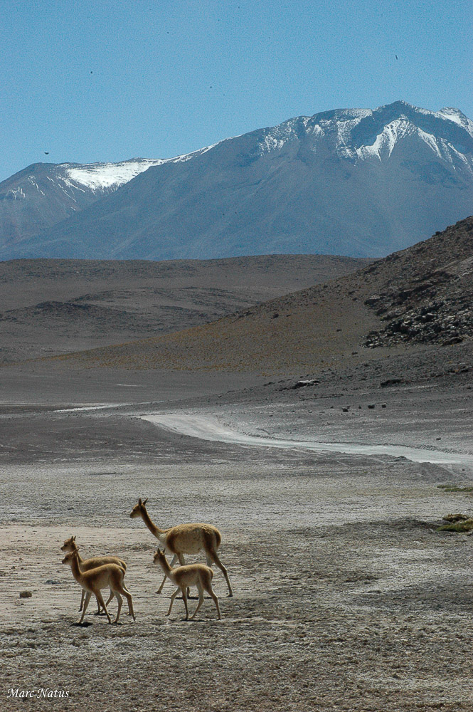 Paysages_Marc_Natus_11