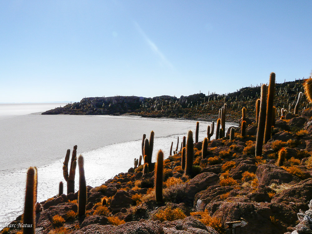 Paysages_Marc_Natus_12