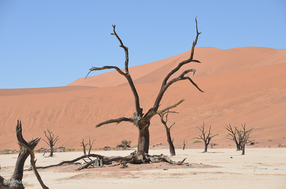 Paysages_Marc_Natus_16